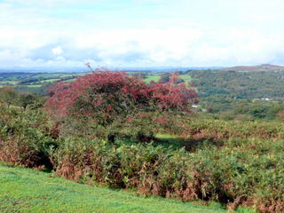 2006-10-04-12-26-34_p1000149_whiteworks_routrundle_peekhill.jpg  whiteworks_routrundle_peekhill 