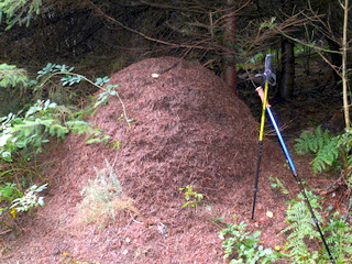 2006-10-11-14-55-36_p1000211_tottiford_rowdon_hole_clampitt.jpg  tottiford_rowdon_hole_clampitt 