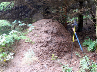 2006-10-11-14-55-46_p1000212_tottiford_rowdon_hole_clampitt.jpg  tottiford_rowdon_hole_clampitt 
