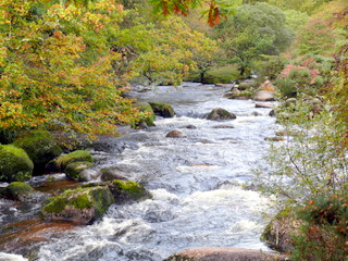 2006-10-29-11-39-15_p1000246_dartmeet_sherwell_ponsworthy.jpg  dartmeet_sherwell_ponsworthy 