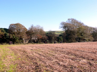 2006-11-01-11-36-30_p1000278_east_allington_millcombe_hutcherleigh.jpg  east_allington_millcombe_hutcherleigh 