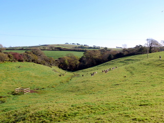 2006-11-01-11-39-52_p1000279_east_allington_millcombe_hutcherleigh.jpg  east_allington_millcombe_hutcherleigh 