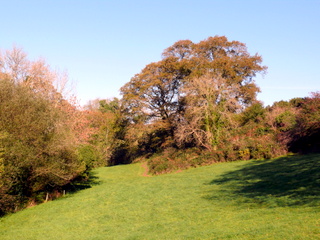2006-11-01-11-47-28_p1000280_east_allington_millcombe_hutcherleigh.jpg  east_allington_millcombe_hutcherleigh 