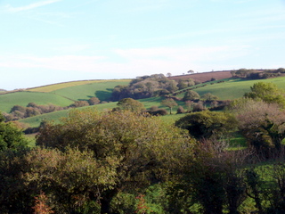 2006-11-01-15-11-17_p1000291_east_allington_millcombe_hutcherleigh.jpg  east_allington_millcombe_hutcherleigh 
