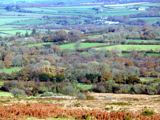 2006-11-19-13-12-25_p1000977_batworthy_throwleigh_gidleigh.jpg  Batworthy_Throwleigh_Gidleigh 
