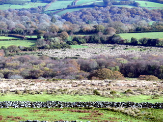 2006-11-19-13-12-43_p1000978_batworthy_throwleigh_gidleigh.jpg  Batworthy_Throwleigh_Gidleigh 