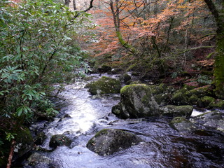 2006-11-19-15-43-32_p1000988_batworthy_throwleigh_gidleigh.jpg  Batworthy_Throwleigh_Gidleigh 