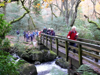 2006-11-19-15-46-10_p1000991_batworthy_throwleigh_gidleigh.jpg  Batworthy_Throwleigh_Gidleigh 