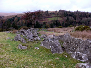 2006-11-19-16-19-58_p1000996_batworthy_throwleigh_gidleigh.jpg  Batworthy_Throwleigh_Gidleigh 