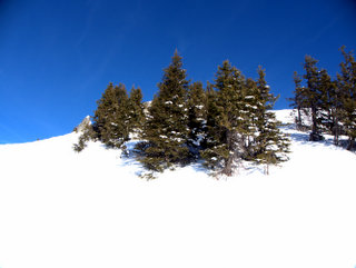 2010-01-05-12-25-09_p1010072_austria_zell_am_ziller_zillertal_arena_gerlos_konigsleiten_2010-01-05.jpg 2010-01-05-12-25-09_p1010072_austria_zell_am_ziller_zillertal_arena_gerlos_konigsleiten_2010-01-05.jpg Austria_Zell_am_Ziller_Zillertal_Arena_Gerlos_Konigsleiten_2010-01-05