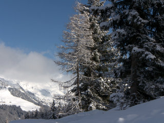 2010-01-07-12-22-01_p1010156_austria_mayrhofen_penken_horberg_rastkogel_eggalm_2010-01-07.jpg 2010-01-07-12-22-01_p1010156_austria_mayrhofen_penken_horberg_rastkogel_eggalm_2010-01-07.jpg Austria_Mayrhofen_Penken_Horberg_Rastkogel_Eggalm_2010-01-07