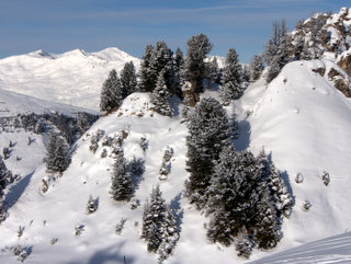 2010-01-07-14-21-08_p1010195_austria_mayrhofen_penken_horberg_rastkogel_eggalm_2010-01-07.jpg 2010-01-07-14-21-08_p1010195_austria_mayrhofen_penken_horberg_rastkogel_eggalm_2010-01-07.jpg Austria_Mayrhofen_Penken_Horberg_Rastkogel_Eggalm_2010-01-07