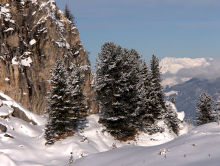 2010-01-07-14-21-15_p1010196_austria_mayrhofen_penken_horberg_rastkogel_eggalm_2010-01-07.jpg 2010-01-07-14-21-15_p1010196_austria_mayrhofen_penken_horberg_rastkogel_eggalm_2010-01-07.jpg Austria_Mayrhofen_Penken_Horberg_Rastkogel_Eggalm_2010-01-07