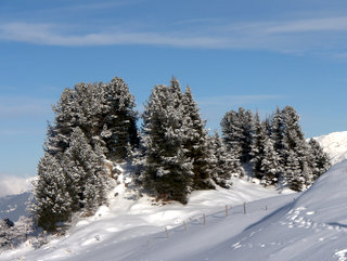 2010-01-07-14-21-23_p1010197_austria_mayrhofen_penken_horberg_rastkogel_eggalm_2010-01-07.jpg 2010-01-07-14-21-23_p1010197_austria_mayrhofen_penken_horberg_rastkogel_eggalm_2010-01-07.jpg Austria_Mayrhofen_Penken_Horberg_Rastkogel_Eggalm_2010-01-07