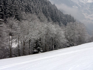 2010-01-08-10-14-29_p1010207_austria_mayrhofen_zillergrund_path_walking_2010-01-08.jpg  Austria_Mayrhofen_Zillergrund_Path_walking_2010-01-08 