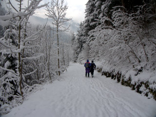2010-01-08-10-26-57_p1010208_austria_mayrhofen_zillergrund_path_walking_2010-01-08.jpg  Austria_Mayrhofen_Zillergrund_Path_walking_2010-01-08 