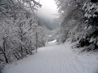 2010-01-08-10-28-53_p1010209_austria_mayrhofen_zillergrund_path_walking_2010-01-08.jpg  Austria_Mayrhofen_Zillergrund_Path_walking_2010-01-08 