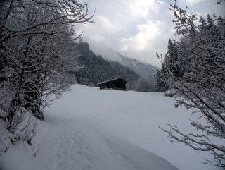2010-01-08-11-04-53_p1010211_austria_mayrhofen_zillergrund_path_walking_2010-01-08.jpg  Austria_Mayrhofen_Zillergrund_Path_walking_2010-01-08 